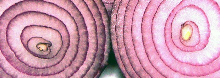 Forex market layers concept for multi-timeframe analysis